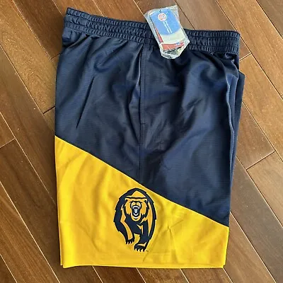 Nike Jordan Michigan Wolverines Jump Man NCAA Basketball Shorts • $30