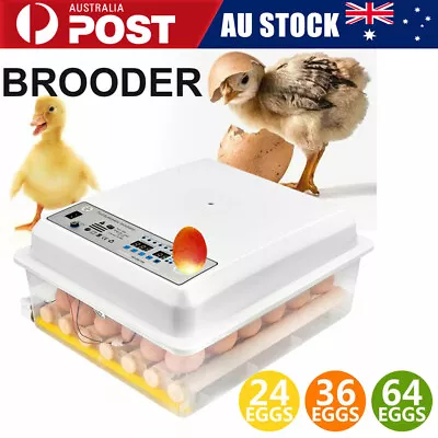 64 Eggs Digital Egg Incubator LED Fully Automatic Turning Chicken Duck Poultry • $55.78