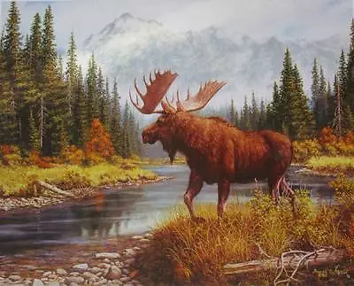 Frank Miller Moose Print WILDLIFE COUNTRY • $16.95