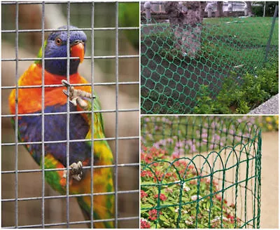 Galvanised Chicken Wire PVC Coated Border Rabbit Hut Mesh Hen Run Netting Coop • £9.99