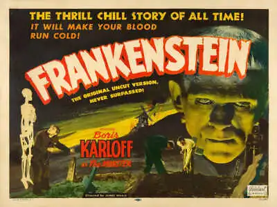 1931 FRANKENSTEIN BORIS KARLOFF VINTAGE MOVIE POSTER PRINT 36x48 STYLE E 9 MIL • $89.95