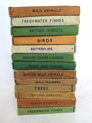 Collection X13 Vintage Observer's Books -  (Butterflies/Wild Animal/Horses) • £16.99