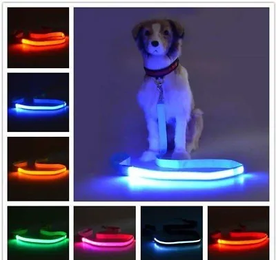 USB RECHARGEABLE LED 3ft LEASH Pet Dog Nylon Clip-on Lead Flashing Light Safety • $9.95