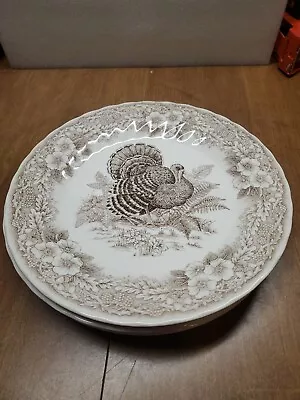  4 Queens Myott Thanksgiving Turkey Autumn Brown 10  Dinner Plates New ( Bin 69 • $54.99