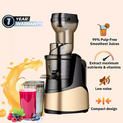 150W Cold Press Slow Juicer Whole Fruit Chute Extractor Vegetable Processor 1L • $99.99