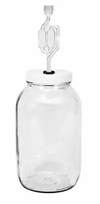 Glass Fermenting Jug Carboy - Home Wine Beer Making - 1 Gallon Clear Bottle • $21.85