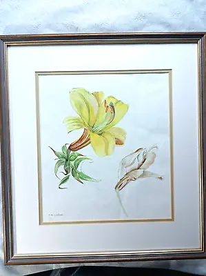 £10 • Buy Lovely Framed Watercolour  By Artist PAT MARY COLDWELL - Frame Size 50cm X 46cm