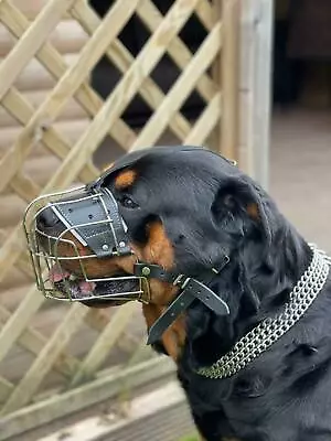  New Metal STRONG Wire Basket Dog Muzzle RottweilerMastiff Golden Retriever Etc • £24.99