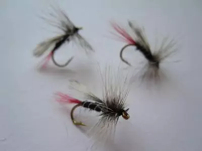 1 Dz D16-7 Red Tail Mosquito's (sizes Available) Dry Flies • $3.77