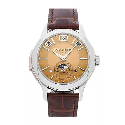 Patek Philippe Grand Complications Manual Platinum Mens Watch 5207P-001 • $795000