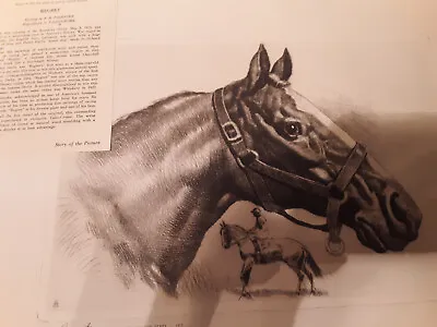 Regret Etching Print By R. H. Palenske - Horse - Kentucky Derby • $17.75