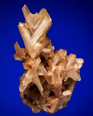 Cerussite Mammoth-St. Anthony Mine Tiger Arizona Harris Coll 1807-H59 • $12500