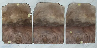 Walnut Burl Veneer 3 Sheets ~14.5 X 10.6  (~37 X 27 Cm) 0.55 Mm (~1/45″) • $25