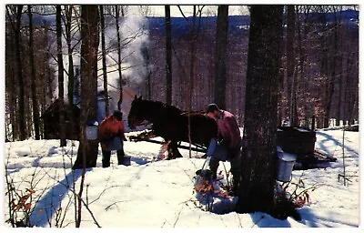 Maple Sugar Time Vermont Snow Covered Horse And Sled Unposted Postcard • $3.99