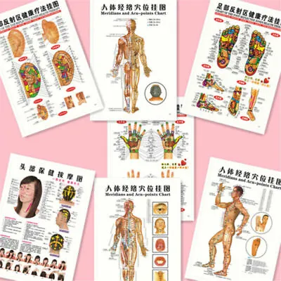 7Pcs/Set English Acupuncture Meridian Acupressure Points Posters Chart Wall Map  • $12.09