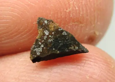 NWA 11000 Official Meteorite - H4-S3 Chondrite - G669-0093 - COA - Part Slice • $1.95