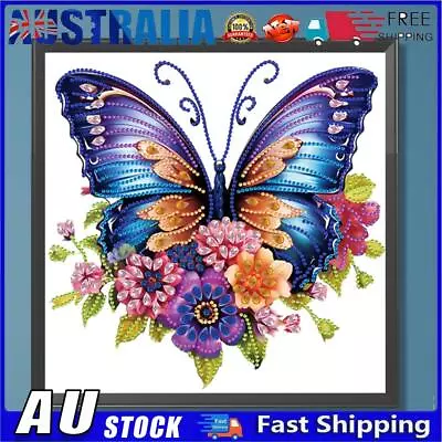 AU 5D DIY Partial Special Shaped Drill Diamond Painting Butterfly Decor 30x30cm • $10.59