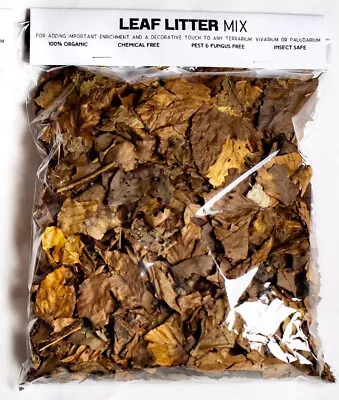 100g Rainforest Leaf Litter. Terrarium Vivarium Paludarium Millipede Beetle Food • £7.99