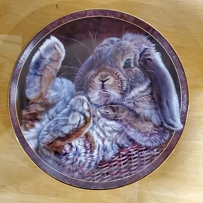 Vivi Crandall Bunny Tales “Footloose” Collector Plate Bradford Exchange • $22.50