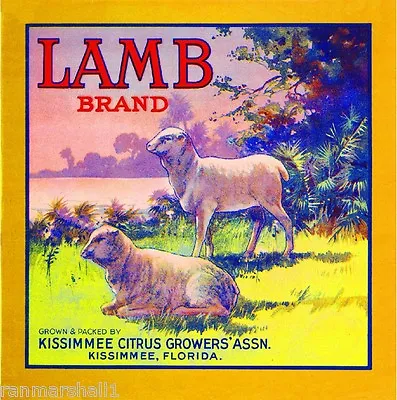 Kissimmee Florida Lamb Sheep Orange Citrus Fruit Crate Label Vintage Art Print • $11.19