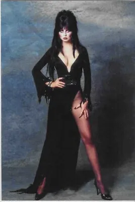 Elvira Mistress Of The Dark Re-Print #SF2075 4x6 • $5.99