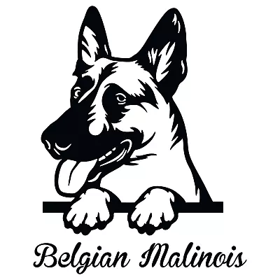 Belgian Malinois Shepherd Decal Tumbler Car Wall Vinyl JDM Stickers 22 Variation • $4.65