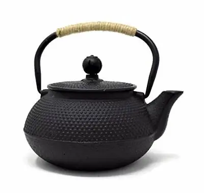 Japanese Teapot Tetsubin Cast Iron Infuser Kettle With Rope Handle 0.6L (32101) • £21.95