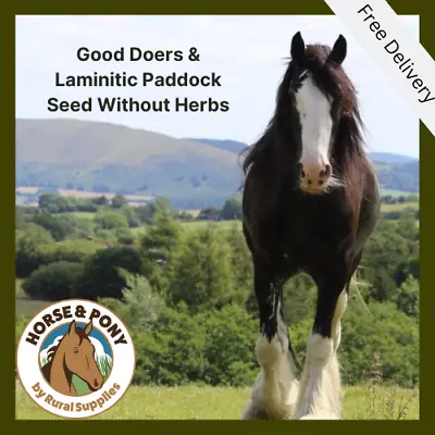 Good Doers & Laminitics Paddock Seed- No Herbs ¦ NO RYE ¦ Equine Grass Seed • £46.99