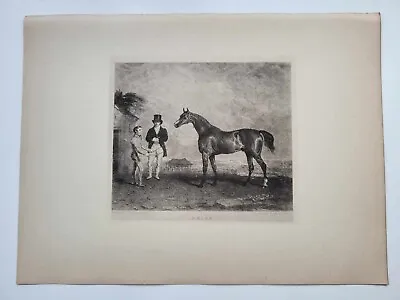 Vintage Antique Print 1887 Portraits Famous Racehorses Skiff Foaled 1821 • £16