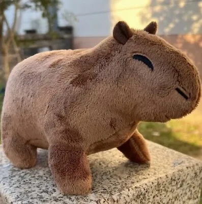 CAPYBARA Soft Cosy Plush Teddy Cute Gift 18cm • £5.99