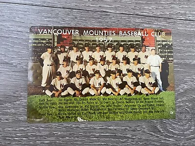 Vancouver Mounties 1957 Team Photo Postcard PCL Bamberger • $14.77