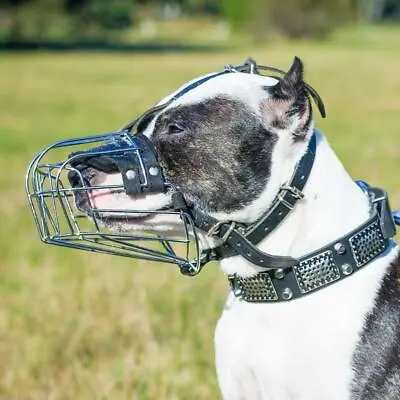 £55.08 • Buy Pit Bull Terrier Muzzle Basket Padded Metal Wire Amstaff & Other Breeds 30 Sizes