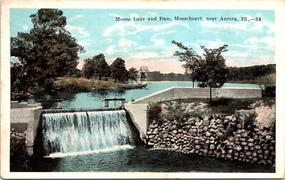 1923 Moose Lake And Dam Mooseheart Near AURORA Illinois Postcard • $2