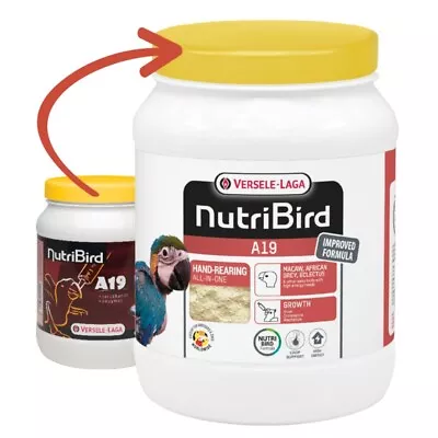 Versele Laga Orlux NutriBird A19 Hand-rearing Food Macaws African Greys 800g • £24.99