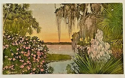 E. G. Barnhill  Hand Colored Photo Florida Spanish Bayonet Palm Trees Egret 1914 • $39.50