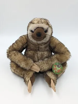 SOFT TOY I’M Such A SLOTH By Paws Brown Plush Brown Whitehouse • £14.99