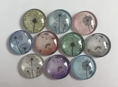 10 Dandelion Seed Heads Round Glass Cabochons 20mm Crafts Jewellery Making • £4.99