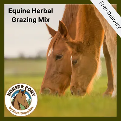 Equine Herbal Grazing Mix Paddock Pasture Enrichment Digestion Joint Health 1KG • £22