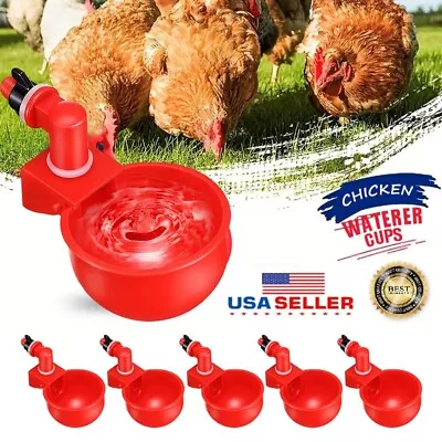 6× Chicken Automatic Watering Cups Drinker Waterer For Duck Quail Hen Poultry US • $7.99