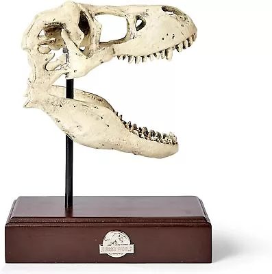 Jurassic World Tyrannosaurus Rex Skull Resin Replica TRex Dinosaur Head Statue • $129.99