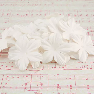 White Mulberry Paper Blooms Card Making Craft Embellishment Flowers Pbw006 • £2.69