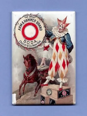 Arm & Hammer Baking Soda *2x3 Fridge Magnet* Vintage Advertisement Powder Old • $8.95