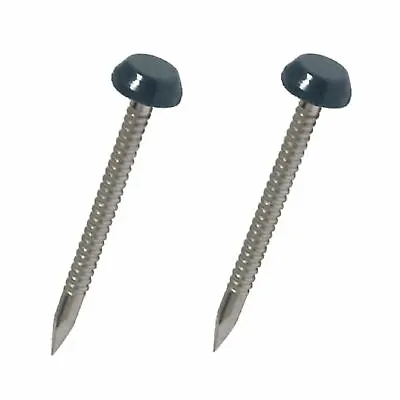 £3.69 • Buy 50 X Anthracite Grey UPVC 40mm Poly Top Pins Nails Plastic Headed Fascia Fixings
