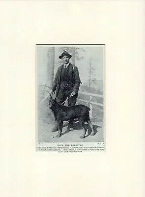 Doberman Pinscher And Forester Old Vintage 1934 Dog Print Ready Mounted • $6.20