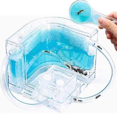 $29.99 • Buy Ant Farm Castle Connecting Tube Ant Habitat Educational Insect Maze Kids Toy