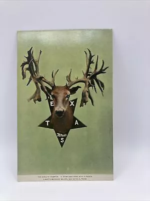 Vintage Postcard Texas 78 Points World Champion Buck • $5.99