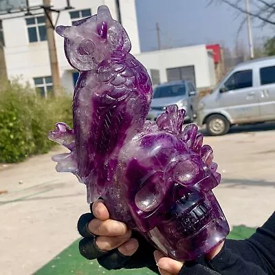 4.08LB Natural Colour Fluorite Crystal Quartz Hand-carved Owl And Skull Healing • $596