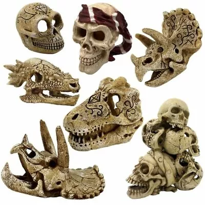 Superfish Dinosaur & Pirate Skull Aquarium Fish Tank Ornament Decoration Resin • £9.40