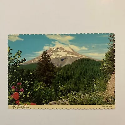 Mt Hood Oregon Summer View Green Trees Light Snow Chrome Era Postcard • $7.04