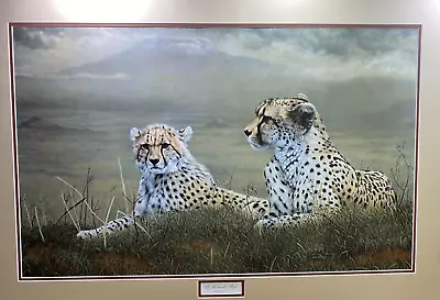 Charles Frace Signed W COA Wildlife Art Print CHEETAH   A Moments Rest   Matted • $199.99